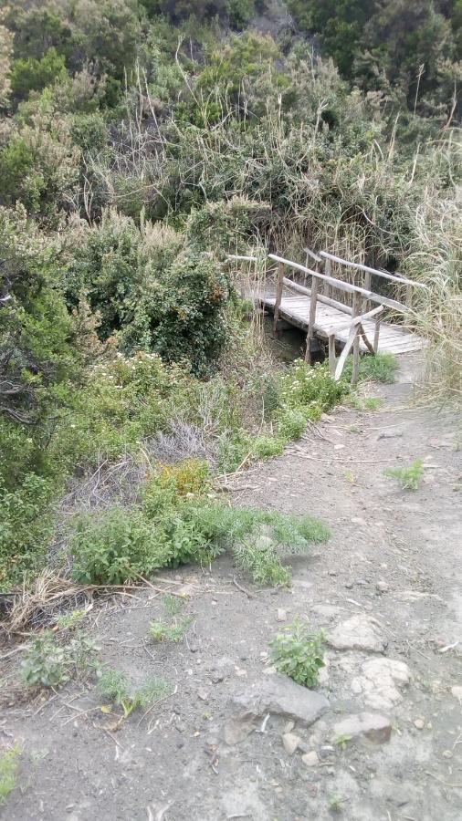 סטרומבולי B&B Casa Frank מראה חיצוני תמונה